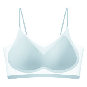 Ultra-thin Seamless Padded Bras For Women Ice Silk Underwear Small Chest Wireless Vest Push Up Bra Tube Tops Sleep Bra Intimates