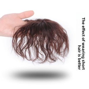 Elegant Small Curl Wig for Middle-Aged And Elderly Women Woolen Roll Hairpiece to Cover White Hair Plush Top Ladies Wig