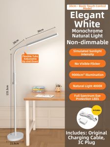 XLYS | Eye-Protective Full-Spectrum Floor Lamp