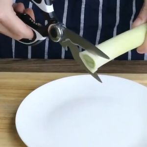QUSE Brand 420 Gunting Dapur Grade 420 Stainless Steel Kitchen Scissors / 420不锈钢 厨用 多功能 剪刀