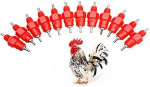 50Pcs Poultry Chicken Drinker Screw Style Automatic Chicken Nipple Drinker for Poultry Bird