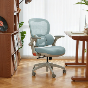BOJOJAN | Ergonomic Student Learning Swivel Chair