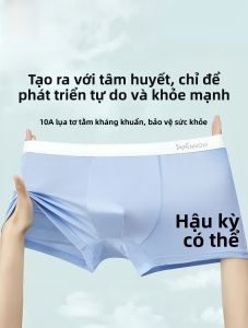 MiiOW | Quần lót nam Modal Ice Silk cho thanh thiếu niên Quần lót nam học sinh phát triển kháng khuẩn Quần lót nam mùa hè thường ngày