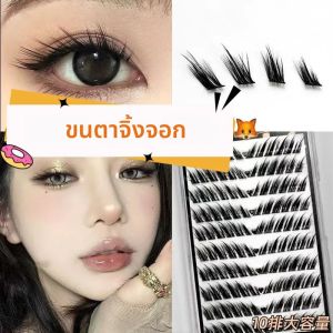 MIAOJIE 12 แถว Fox ขนตาปลอมเดี่ยว Cluster Eyelash EXTENSION Segmented Lashes Fox Eye Effect Lashes ขนตาปลอม
