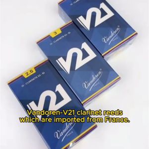 The Ultimate Guide to Vandoren V21 Clarinet Reeds & Durable Clarinet Accessories
