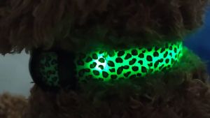 Vòng cổ chống đi lạc cho Chó Mèo hoạ tiết da beo có đèn led chiếu sáng (mẫu mới) - Hara Pet Store
