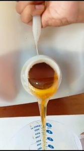 MADU CITRUS 1KG ASLI ORIGINAL / PURE RAW HONEY /MADU MURNI