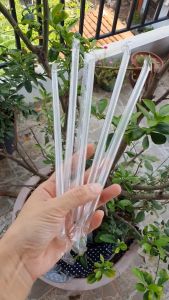 GÓI 400G - Ống hút nhựa sinh tố trà sữa có bọc màng phi 8-12 Màu Trắng