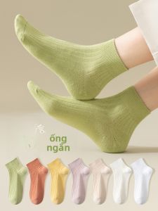 JINGCHI | Vớ Mỏng Cotton Nữ Mùa Hè Chống Trượt Không Trượt Màu Trắng Cổ Thấp Chống Hôi