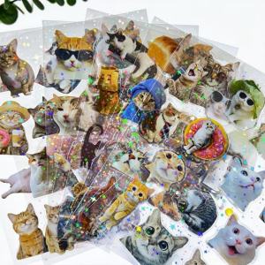 8/16/24PCS Cute Cat Bag Transparent PET Star Film Stickers DIY Water Cup Stationery Notebook Decorative Stickers