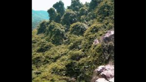 Arctic Hunter B00534 Tas Backpack Ransel Laptop Pria 15.6\"