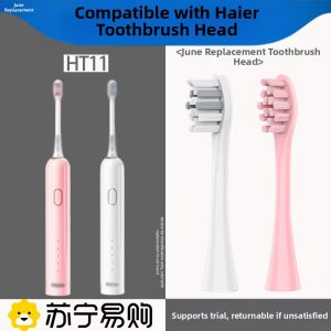 Early June Compatible Haier Electric Toothbrush Head HT11 Replacement Coral Pink Han Jade White 2585 Oral Care Adult Hardness