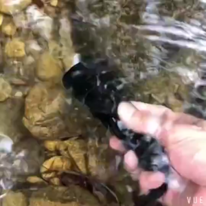 Genwiss Senter Selam Diving + Baterai Besar 5000mAh + Cas LED Diving Waterproof Warm dan Cool White