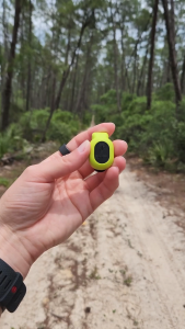 Garmin Pod Running Dynamics Pedometer