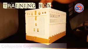 Racing Pigeon Foldable Cage(Training Box