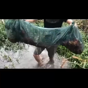 fishing cage foldable fishing net durable fish and shrimp catcher  shrimp trap lobster Trap