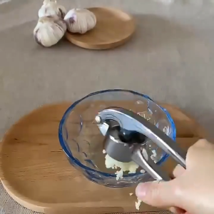 Stainless Steel Garlic Press 2in1 Handheld Garlic Press Crusher Crusher Presser Mincer Tool