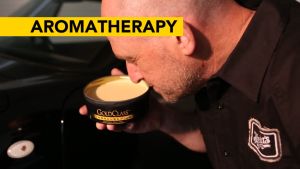 Meguiars Gold Class Carnauba Plus Premium Paste Wax 311Gr USA