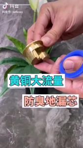 Katup Penutup Saluran Pembuangan Air Satu Arah Drainase Wastafel Dapur Kamar Mandi Anti Bau Dan Mampet