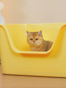 petme 💎 กระบะทรายแบบจัมโบ้ กระบะทรายแมวขนาดใหญ่ ห้องน้ำแมวใหญ่ หนา แข็งแรง สินค้าพร้อมส่ง