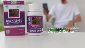 HIU Daun Ungu Herbal Atasi Wasir Hemoroid atau Ambeien