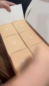 FH-C1221 Gantungan Kunci Labubu Have A Seat Bisa Duduk / Blind Box Labubu V2 Boneka Keychain