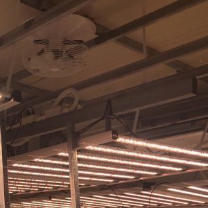 BIG FAN พัดลมอุตสาหกรรม แบบแขวน การไหลเวียนของอากาศ พัดลมใหญ่ 21นิ้ว ระบบควบคุมความเร็วสามระดับ Industrial fan