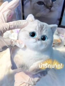 JIEBITU | Cute Squeezing Stress Relief Slow Rebound Simulated Cat Toy