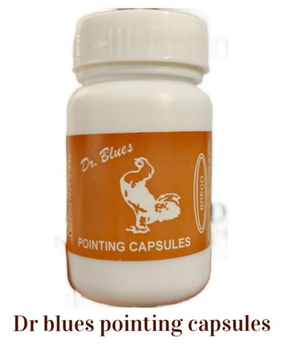 Dr blues Pointing Capsules Lazada PH