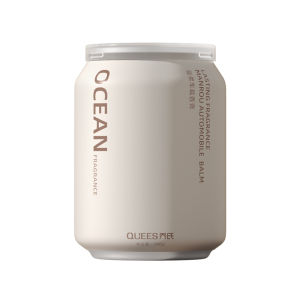 QUEES | Fragrant Deodorizing Car Solid Perfume