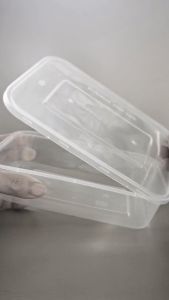 THINWALL KOTAK PERSEGI 500ML WADAH MAKANAN PLASTIK PLUS TUTUP BENING DM (25 PCS)