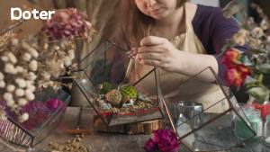 Terrarium Potting Soil Mix: Custom-Made for Vibrant Miniature Gardens