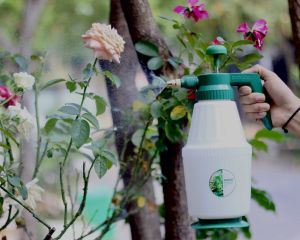 Bình xịt tưới cây Dudaco premium 2L cao cấp