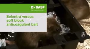 1pcs 20grams Selontra Soft Bait Mengawal Tikus dengan sekali makan Rat Bait Block Rat Poison Pest Control Rodenticide