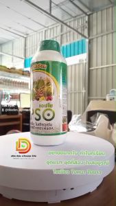 แมกนีเซียม คีเลต (เอปโซ) 1 ลิตร Mg EDTA ช่วยทำให้ใบพืชมีสีเขียวเข้มสมบูรณ์ แมกนีเซียม คีเลต ปุ๋ยน้ำ แมกนีเซียม (Mg) คีเลต