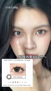 「NEW」Eyesco 3-6 months Big Enlargement (14.5mm) Natural Big Eyes - Puppy Brown