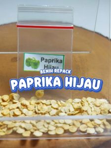 Benih Paprika Hijau Unggulan: Cara Membudidayakan & Menghasilkan Buah Berkualitas