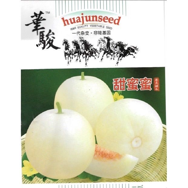 เมล็ดพันธุ์แอปเปิ้ล เมล่อน เปลือกขาว F1 ผลไม้แปลกใหม่