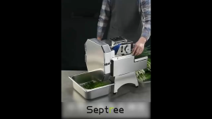 Máy cắt thái rau củ quả đa năng công nghiệp thương hiệu Mỹ cao cấp Septree F46 điều chỉnh kích thước 2-20mm - Công suất 850W (BH 1 NĂM)