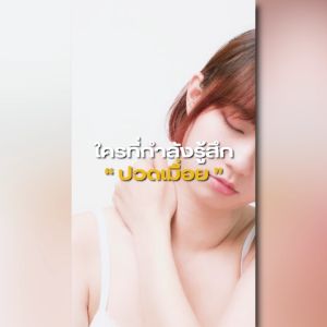 สายสะพายบ่าเบาะนุ่ม ตะขอเดี่ยว แข็งแรงทนทาน ใช้กับเครื่องตัดหญ้า By mcmachinetools