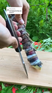 PISAU SURVIVAL TAJAM DENGAN SARUNG NYLON / KULIT - Pisau Komando Taktikal Fixed Blade Outdoor Bushcraft Camping