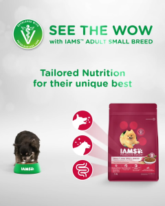 IAMS Adult Dog Small Breed3KG (Dog Food)