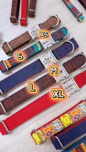 [Hỏa tốc] Cat Collar Pro Vòng cổ vải cao cấp khắc tên cho mèo - Pettag Mozzi