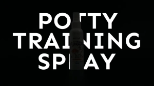 Petsup Potty Training Spray 120ml Pee Inducer Pet Defecation Toilet Training Aid Easy-to-Use Non-Toxic Formula Convenient Potty Aid Training Spray for Dogs & Puppies