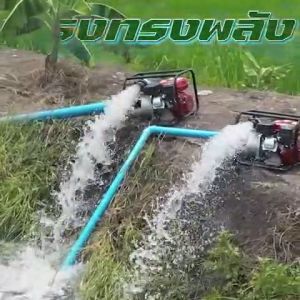 VERGIN เครื่องสูบน้ำ 7.5 - 8.5 แรง 2-3 นิ้ว ยี่ห้อ ดูดลึก ส่งไกล900+ เมตร ดูดลึก 12 เมตร ส่งสูง 28 เมตร รุ่น 1 ใบพัด (มาตราฐานญี่ปุ่น)