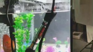 Aquarium Heater Glass Fish Tank Adjustable Thermostat Heater For Aquarium 25W 50W 100W 200W 300W
