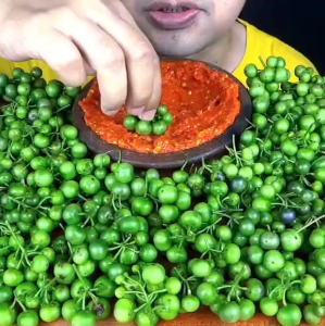 CABAI GENDOT HIJAU CABE BENDOT 1 ONS