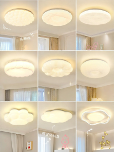 DGY | Modern Romantic Ceiling Light