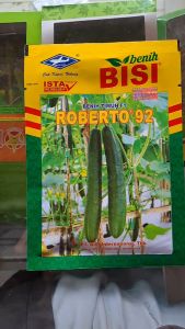 BENIH TIMUN ROBERTO 92 F1 HIBRIDA BISI CAP KAPAL TERBANG // MENTIMUN