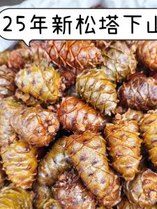 New 2025 Hinggan Salted Pine Cone Snack 500g Tasty Salty Flavor Maotai Pine Cone Pineapple Nut from Heilongjiang China